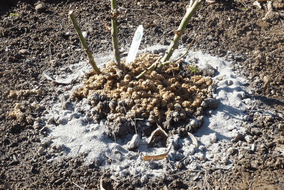 Mączka Bazaltowa Target